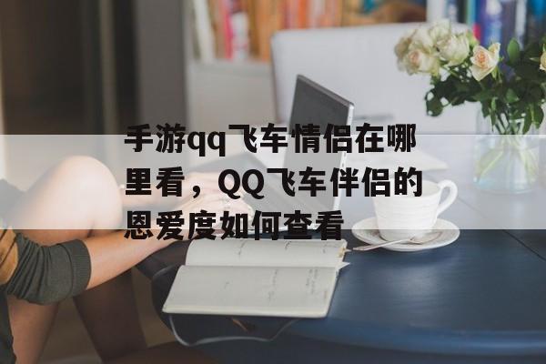 手游qq飞车情侣在哪里看，QQ飞车伴侣的恩爱度如何查看