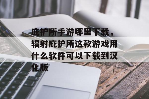 庇护所手游哪里下载，辐射庇护所这款游戏用什么软件可以下载到汉化版