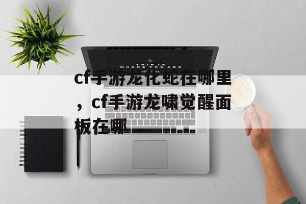 cf手游龙化蛇在哪里，cf手游龙啸觉醒面板在哪