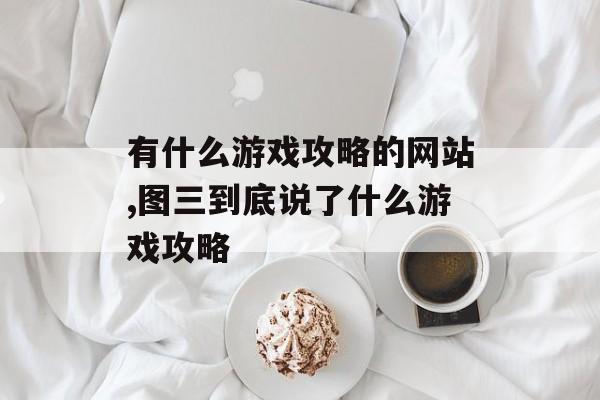 有什么游戏攻略的网站,图三到底说了什么游戏攻略