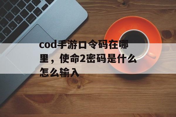 cod手游口令码在哪里，使命2密码是什么怎么输入