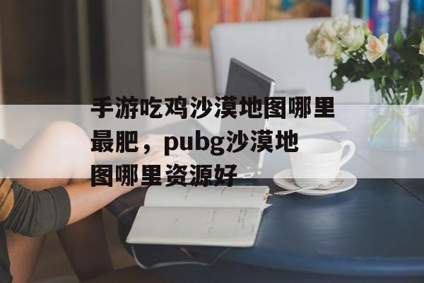 手游吃鸡沙漠地图哪里最肥，pubg沙漠地图哪里资源好