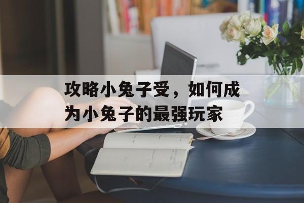 攻略小兔子受，如何成为小兔子的最强玩家