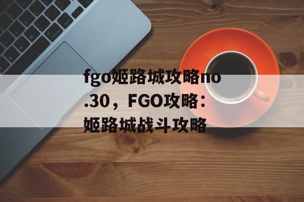 fgo姬路城攻略no.30，FGO攻略：姬路城战斗攻略