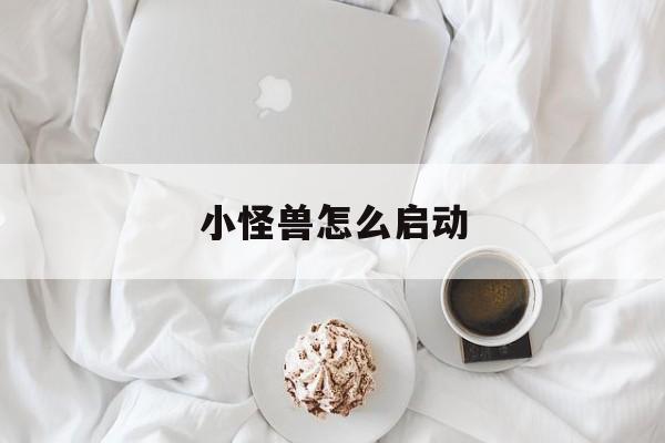 小怪兽怎么启动