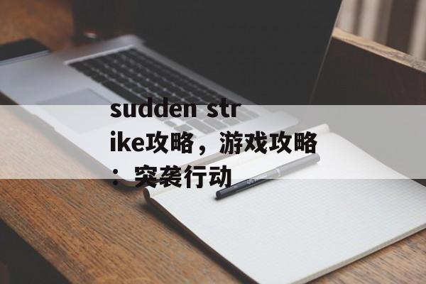 sudden strike攻略，游戏攻略：突袭行动