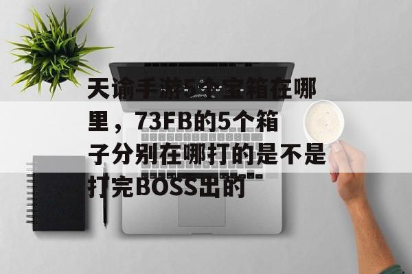 天谕手游5个宝箱在哪里，73FB的5个箱子分别在哪打的是不是打完BOSS出的