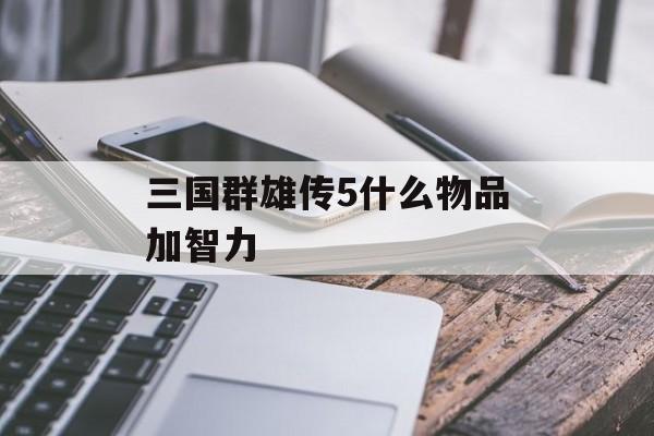 三国群雄传5什么物品加智力