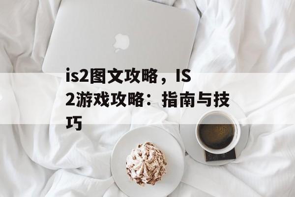 is2图文攻略，IS2游戏攻略：指南与技巧