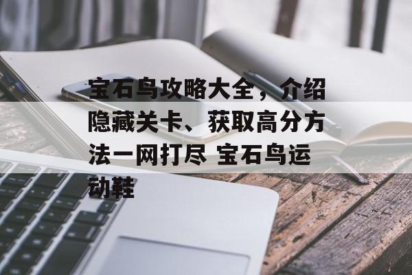 宝石鸟攻略大全，介绍隐藏关卡、获取高分方法一网打尽 宝石鸟运动鞋