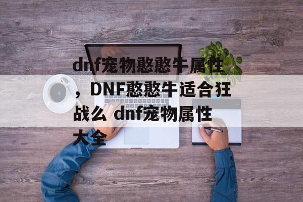 dnf宠物憨憨牛属性，DNF憨憨牛适合狂战么 dnf宠物属性大全