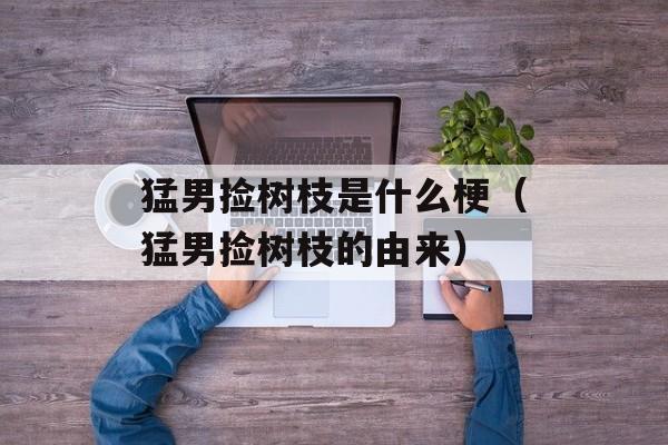 猛男捡树枝是什么梗（猛男捡树枝的由来）