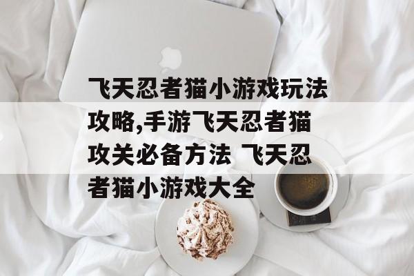 飞天忍者猫小游戏玩法攻略,手游飞天忍者猫攻关必备方法 飞天忍者猫小游戏大全