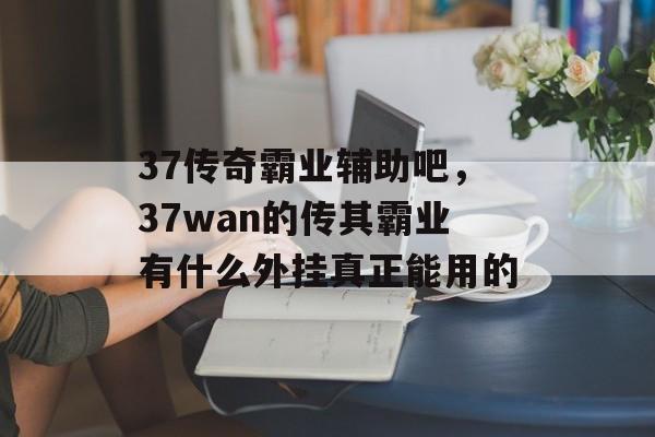 37传奇霸业辅助吧，37wan的传其霸业有什么外挂真正能用的