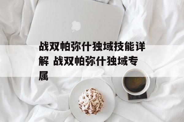 战双帕弥什独域技能详解 战双帕弥什独域专属