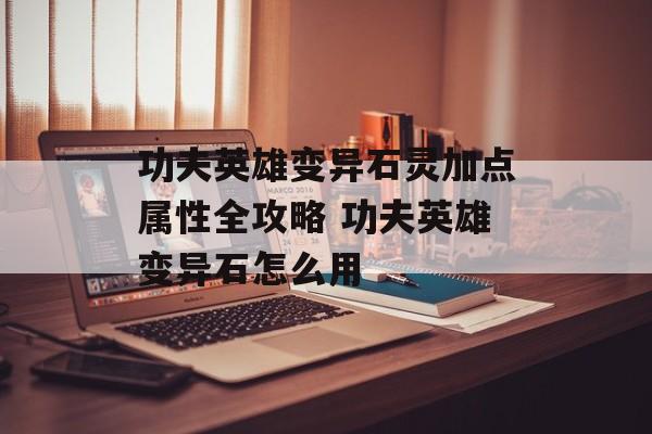 功夫英雄变异石灵加点属性全攻略 功夫英雄变异石怎么用