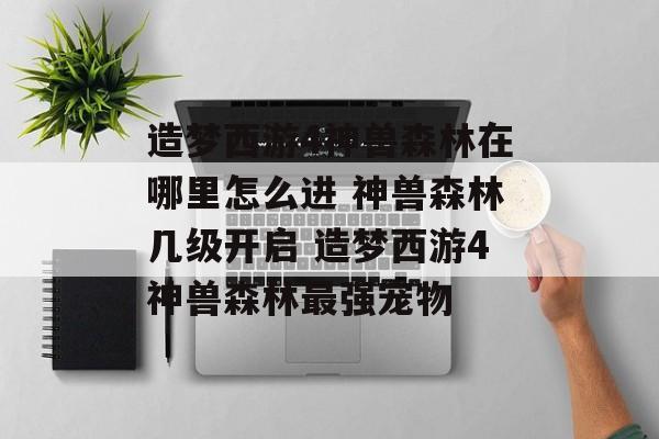 造梦西游4神兽森林在哪里怎么进 神兽森林几级开启 造梦西游4神兽森林最强宠物