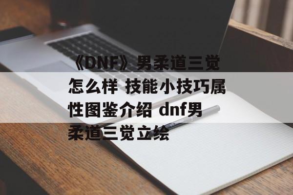 《DNF》男柔道三觉怎么样 技能小技巧属性图鉴介绍 dnf男柔道三觉立绘
