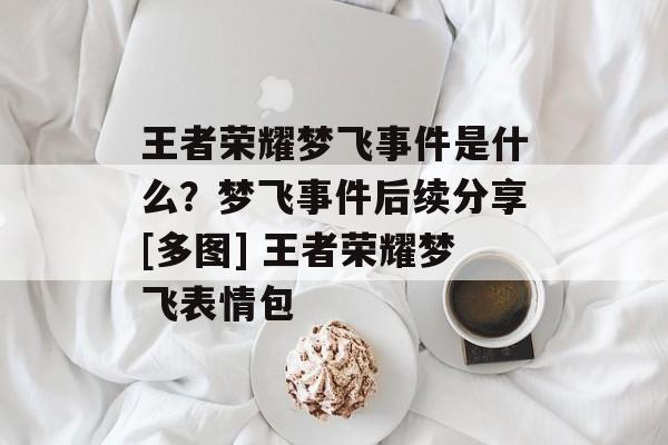 王者荣耀梦飞事件是什么？梦飞事件后续分享[多图] 王者荣耀梦飞表情包