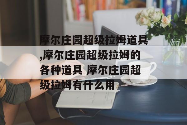 摩尔庄园超级拉姆道具,摩尔庄园超级拉姆的各种道具 摩尔庄园超级拉姆有什么用