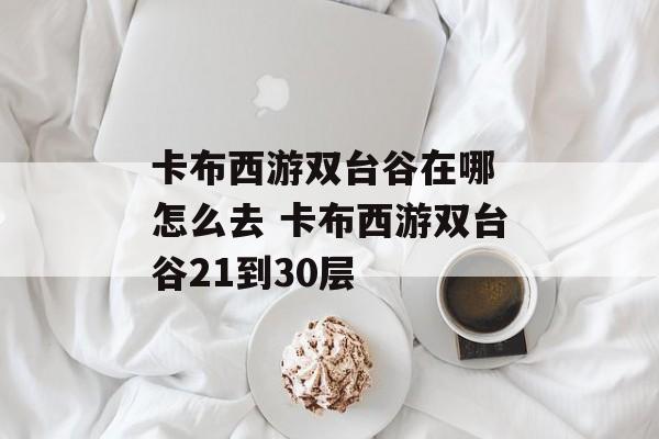 卡布西游双台谷在哪 怎么去 卡布西游双台谷21到30层