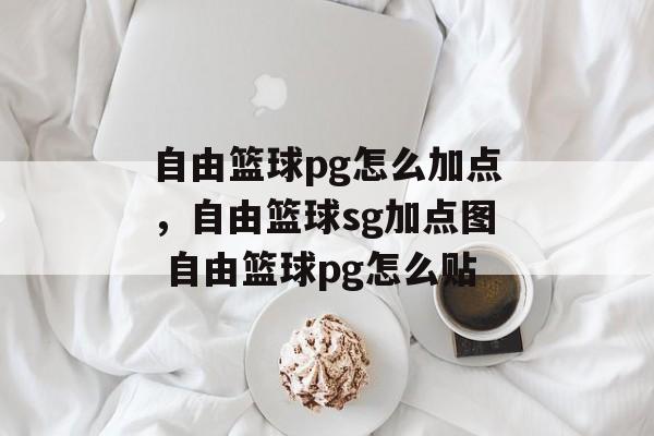 自由篮球pg怎么加点，自由篮球sg加点图 自由篮球pg怎么贴