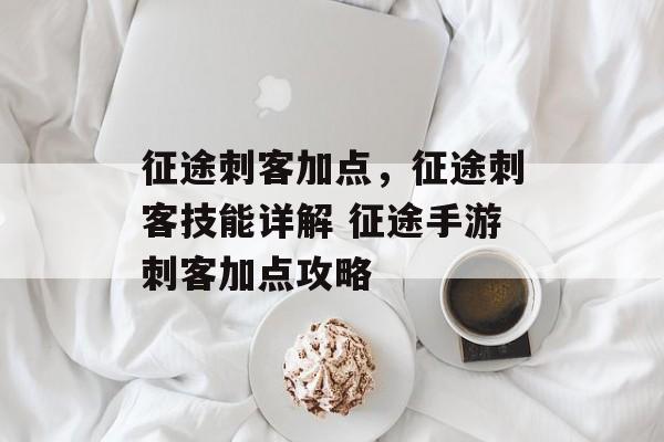 征途刺客加点，征途刺客技能详解 征途手游刺客加点攻略