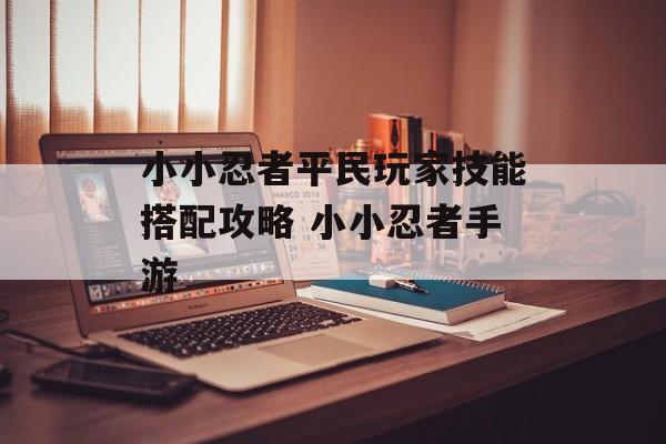 小小忍者平民玩家技能搭配攻略 小小忍者手游