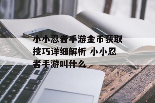 小小忍者手游金币获取技巧详细解析 小小忍者手游叫什么