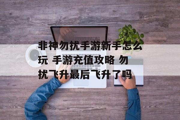 非神勿扰手游新手怎么玩 手游充值攻略 勿扰飞升最后飞升了吗