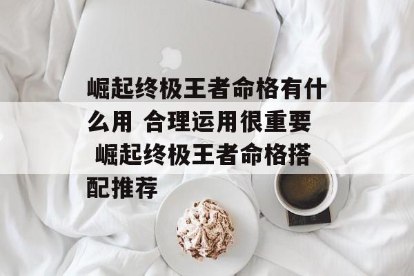 崛起终极王者命格有什么用 合理运用很重要 崛起终极王者命格搭配推荐