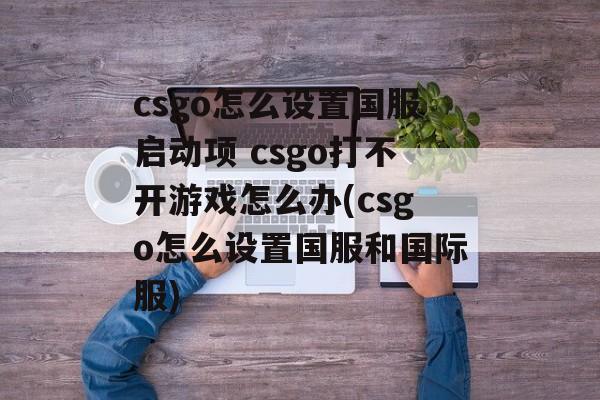 csgo怎么设置国服启动项 csgo打不开游戏怎么办(csgo怎么设置国服和国际服)