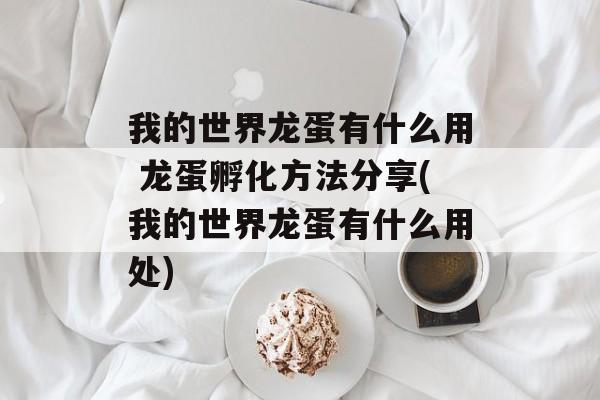 我的世界龙蛋有什么用 龙蛋孵化方法分享(我的世界龙蛋有什么用处)