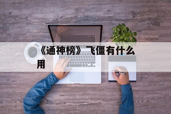 《通神榜》飞僵有什么用