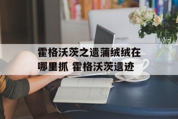 霍格沃茨之遗蒲绒绒在哪里抓 霍格沃茨遗迹