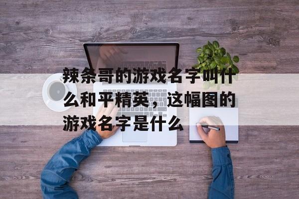 辣条哥的游戏名字叫什么和平精英，这幅图的游戏名字是什么