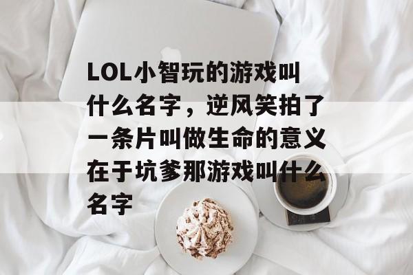 LOL小智玩的游戏叫什么名字，逆风笑拍了一条片叫做生命的意义在于坑爹那游戏叫什么名字