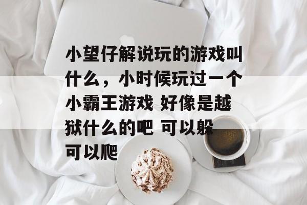 小望仔解说玩的游戏叫什么，小时候玩过一个小霸王游戏 好像是越狱什么的吧 可以躲 可以爬