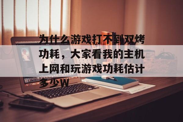 为什么游戏打不到双烤功耗，大家看我的主机上网和玩游戏功耗估计多少W