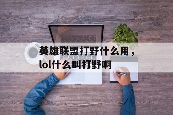 英雄联盟打野什么用，lol什么叫打野啊