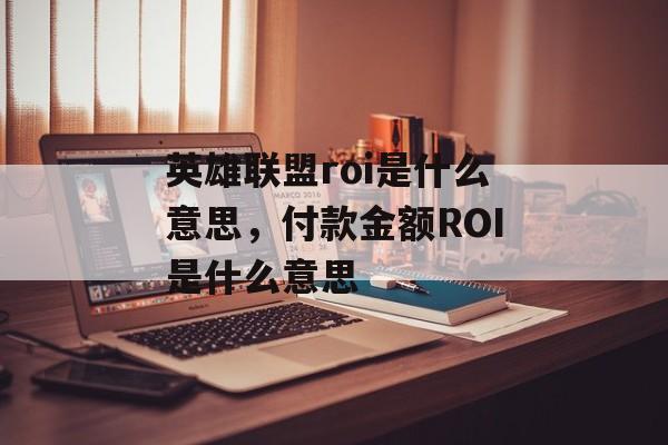 英雄联盟roi是什么意思，付款金额ROI是什么意思