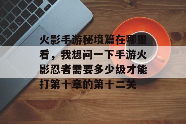 火影手游秘境篇在哪里看，我想问一下手游火影忍者需要多少级才能打第十章的第十二关