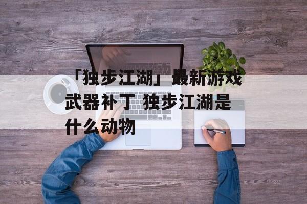 「独步江湖」最新游戏武器补丁 独步江湖是什么动物