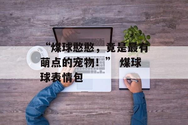 “煤球憨憨，竟是最有萌点的宠物！” 煤球球表情包