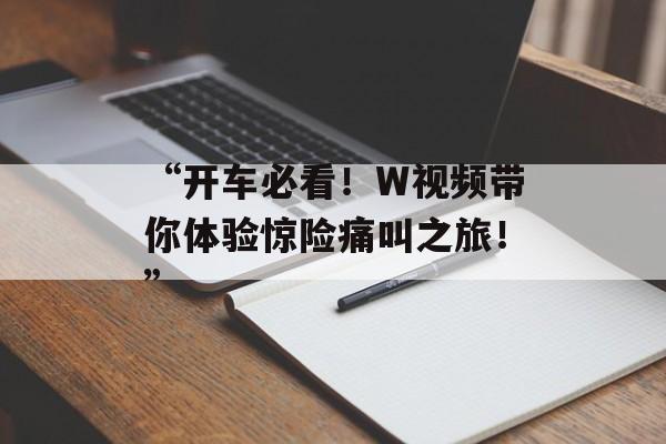 “开车必看！W视频带你体验惊险痛叫之旅！”