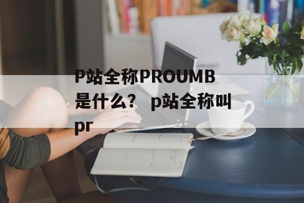 P站全称PROUMB是什么？ p站全称叫pr