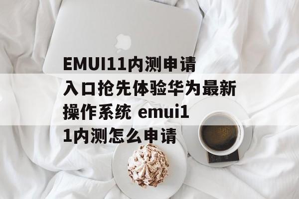 EMUI11内测申请入口抢先体验华为最新操作系统 emui11内测怎么申请