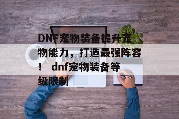 DNF宠物装备提升宠物能力，打造最强阵容！ dnf宠物装备等级限制
