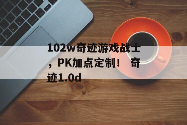 102w奇迹游戏战士，PK加点定制！ 奇迹1.0d