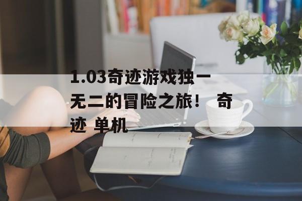 1.03奇迹游戏独一无二的冒险之旅！ 奇迹 单机